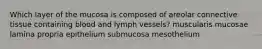 Which layer of the mucosa is composed of areolar connective tissue containing blood and lymph vessels? muscularis mucosae lamina propria epithelium submucosa mesothelium