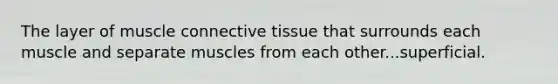 The layer of muscle connective tissue that surrounds each muscle and separate muscles from each other...superficial.