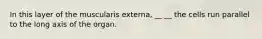 In this layer of the muscularis externa, __ __ the cells run parallel to the long axis of the organ.