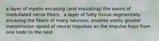 a layer of myelin encasing (and insulating) the axons of medullated nerve fibers , a layer of fatty tissue segmentally encasing the fibers of many neurons; enables vastly greater transmission speed of neural impulses as the impulse hops from one node to the next