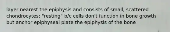 layer nearest the epiphysis and consists of small, scattered chondrocytes; "resting" b/c cells don't function in bone growth but anchor epiphyseal plate the epiphysis of the bone