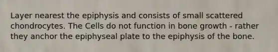 Layer nearest the epiphysis and consists of small scattered chondrocytes. The Cells do not function in bone growth - rather they anchor the epiphyseal plate to the epiphysis of the bone.