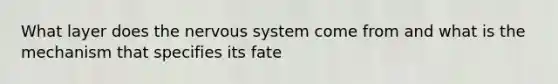 What layer does the <a href='https://www.questionai.com/knowledge/kThdVqrsqy-nervous-system' class='anchor-knowledge'>nervous system</a> come from and what is the mechanism that specifies its fate