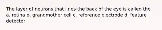 The layer of neurons that lines the back of the eye is called the a. retina b. grandmother cell c. reference electrode d. feature detector