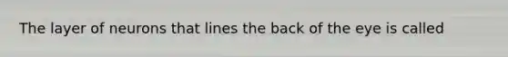 The layer of neurons that lines the back of the eye is called