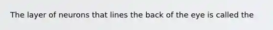 The layer of neurons that lines the back of the eye is called the