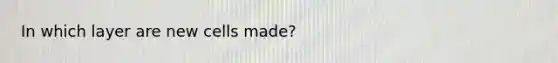 In which layer are new cells made?