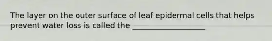 The layer on the outer surface of leaf epidermal cells that helps prevent water loss is called the ___________________