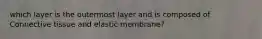 which layer is the outermost layer and is composed of Connective tissue and elastic membrane?