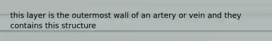 this layer is the outermost wall of an artery or vein and they contains this structure