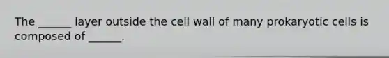 The ______ layer outside the cell wall of many prokaryotic cells is composed of ______.