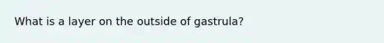 What is a layer on the outside of gastrula?