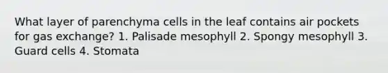 What layer of parenchyma cells in the leaf contains air pockets for gas exchange? 1. Palisade mesophyll 2. Spongy mesophyll 3. Guard cells 4. Stomata