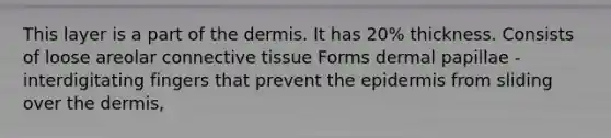 This layer is a part of the dermis. It has 20% thickness. Consists of loose areolar connective tissue Forms dermal papillae - interdigitating fingers that prevent the epidermis from sliding over the dermis,