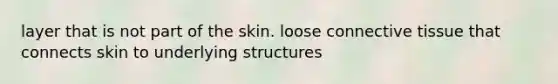 layer that is not part of the skin. loose <a href='https://www.questionai.com/knowledge/kYDr0DHyc8-connective-tissue' class='anchor-knowledge'>connective tissue</a> that connects skin to underlying structures