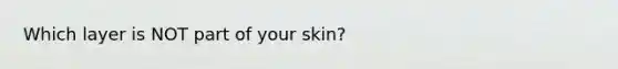 Which layer is NOT part of your skin?