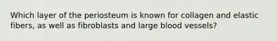 Which layer of the periosteum is known for collagen and elastic fibers, as well as fibroblasts and large blood vessels?