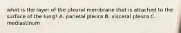 what is the layer of the pleural membrane that is attached to the surface of the lung? A. parietal pleura B. visceral pleura C. mediastinum