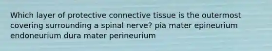 Which layer of protective connective tissue is the outermost covering surrounding a spinal nerve? pia mater epineurium endoneurium dura mater perineurium