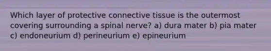 Which layer of protective connective tissue is the outermost covering surrounding a spinal nerve? a) dura mater b) pia mater c) endoneurium d) perineurium e) epineurium