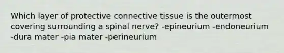 Which layer of protective connective tissue is the outermost covering surrounding a spinal nerve? -epineurium -endoneurium -dura mater -pia mater -perineurium