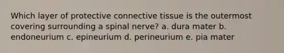 Which layer of protective connective tissue is the outermost covering surrounding a spinal nerve? a. dura mater b. endoneurium c. epineurium d. perineurium e. pia mater