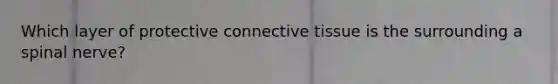 Which layer of protective connective tissue is the surrounding a spinal nerve?