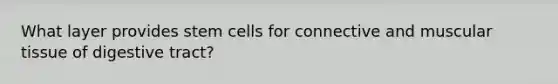 What layer provides stem cells for connective and muscular tissue of digestive tract?