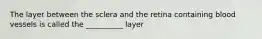 The layer between the sclera and the retina containing blood vessels is called the __________ layer