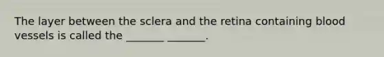 The layer between the sclera and the retina containing blood vessels is called the _______ _______.