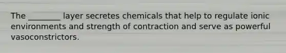 The ________ layer secretes chemicals that help to regulate ionic environments and strength of contraction and serve as powerful vasoconstrictors.