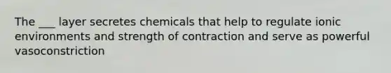 The ___ layer secretes chemicals that help to regulate ionic environments and strength of contraction and serve as powerful vasoconstriction