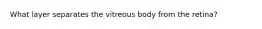 What layer separates the vitreous body from the retina?