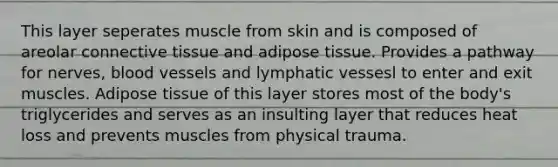 This layer seperates muscle from skin and is composed of areolar connective tissue and adipose tissue. Provides a pathway for nerves, blood vessels and lymphatic vessesl to enter and exit muscles. Adipose tissue of this layer stores most of the body's triglycerides and serves as an insulting layer that reduces heat loss and prevents muscles from physical trauma.