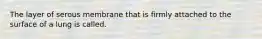 The layer of serous membrane that is firmly attached to the surface of a lung is called.