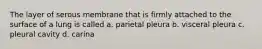 The layer of serous membrane that is firmly attached to the surface of a lung is called a. parietal pleura b. visceral pleura c. pleural cavity d. carina