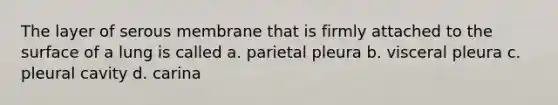 The layer of serous membrane that is firmly attached to the surface of a lung is called a. parietal pleura b. visceral pleura c. pleural cavity d. carina