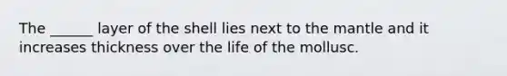 The ______ layer of the shell lies next to <a href='https://www.questionai.com/knowledge/kHR4HOnNY8-the-mantle' class='anchor-knowledge'>the mantle</a> and it increases thickness over the life of the mollusc.