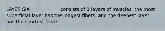 LAYER SIX ____________ consists of 3 layers of muscles, the most superficial layer has the longest fibers, and the deepest layer has the shortest fibers.