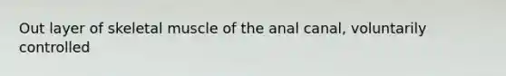 Out layer of skeletal muscle of the anal canal, voluntarily controlled