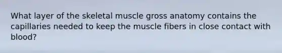 What layer of the skeletal muscle gross anatomy contains the capillaries needed to keep the muscle fibers in close contact with blood?