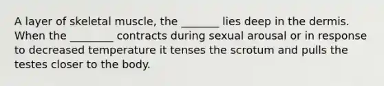 A layer of skeletal muscle, the _______ lies deep in the dermis. When the ________ contracts during sexual arousal or in response to decreased temperature it tenses the scrotum and pulls the testes closer to the body.