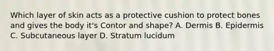 Which layer of skin acts as a protective cushion to protect bones and gives the body it's Contor and shape? A. Dermis B. Epidermis C. Subcutaneous layer D. Stratum lucidum