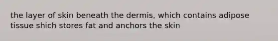 the layer of skin beneath the dermis, which contains adipose tissue shich stores fat and anchors the skin