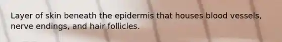 Layer of skin beneath the epidermis that houses blood vessels, nerve endings, and hair follicles.