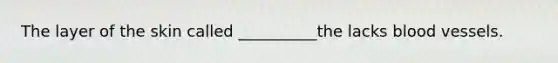 The layer of the skin called __________the lacks blood vessels.