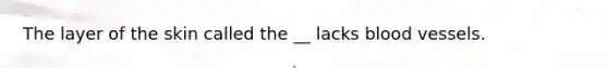 The layer of the skin called the __ lacks blood vessels.