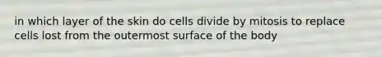 in which layer of the skin do cells divide by mitosis to replace cells lost from the outermost surface of the body