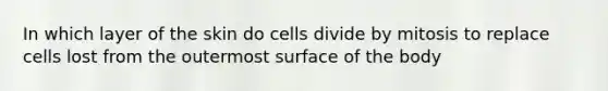 In which layer of the skin do cells divide by mitosis to replace cells lost from the outermost surface of the body