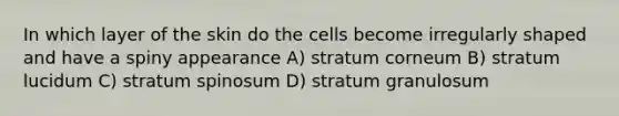 In which layer of the skin do the cells become irregularly shaped and have a spiny appearance A) stratum corneum B) stratum lucidum C) stratum spinosum D) stratum granulosum